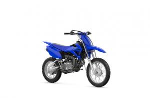 TT-R110